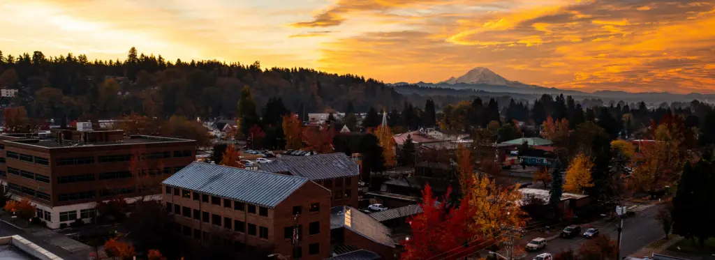 Daytime view of Kent, Washington, with a suburban area, green spaces, and Mount Rainier in the background under a clear blue sky