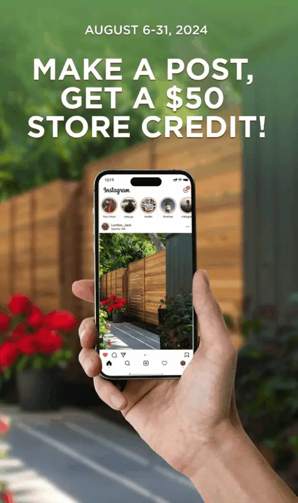 Showcasing Our Custom Email Designs