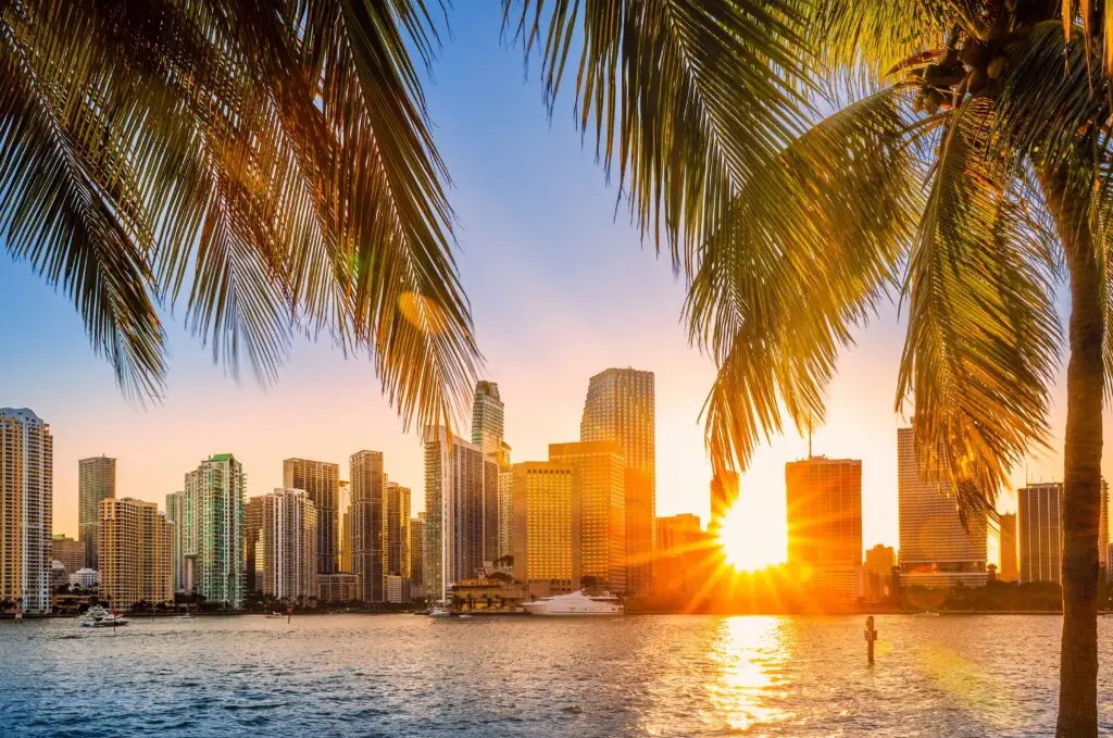Gorgeous Miami sunset with city skyline framed by palm trees, showcasing the vibrant atmosphere of Website Design and Development Miami FL.
