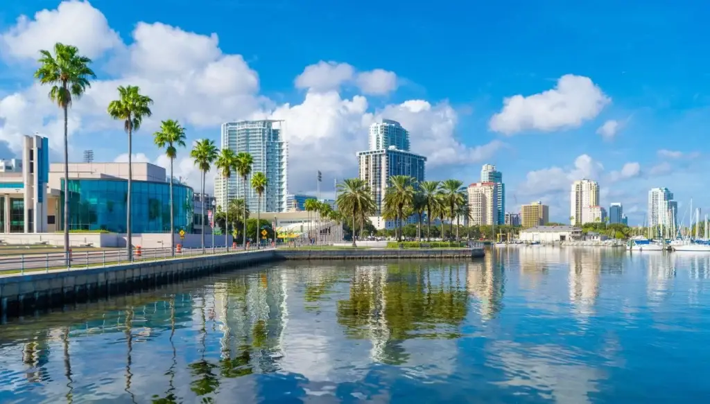 St. Petersburg's waterfront and skyline with palm trees, ideal for Website Design and Development St. Petersburg FL.