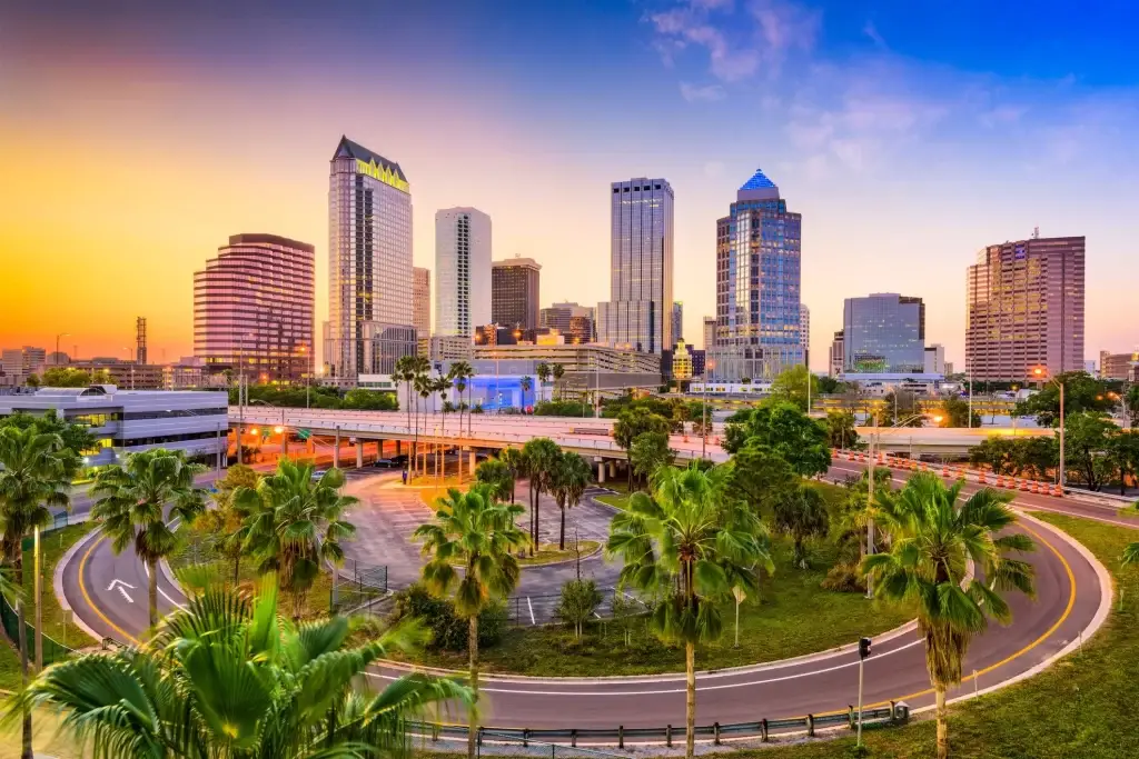 Vibrant skyline of Tampa, FL with palm trees and city buildings, showcasing the beauty of the city.