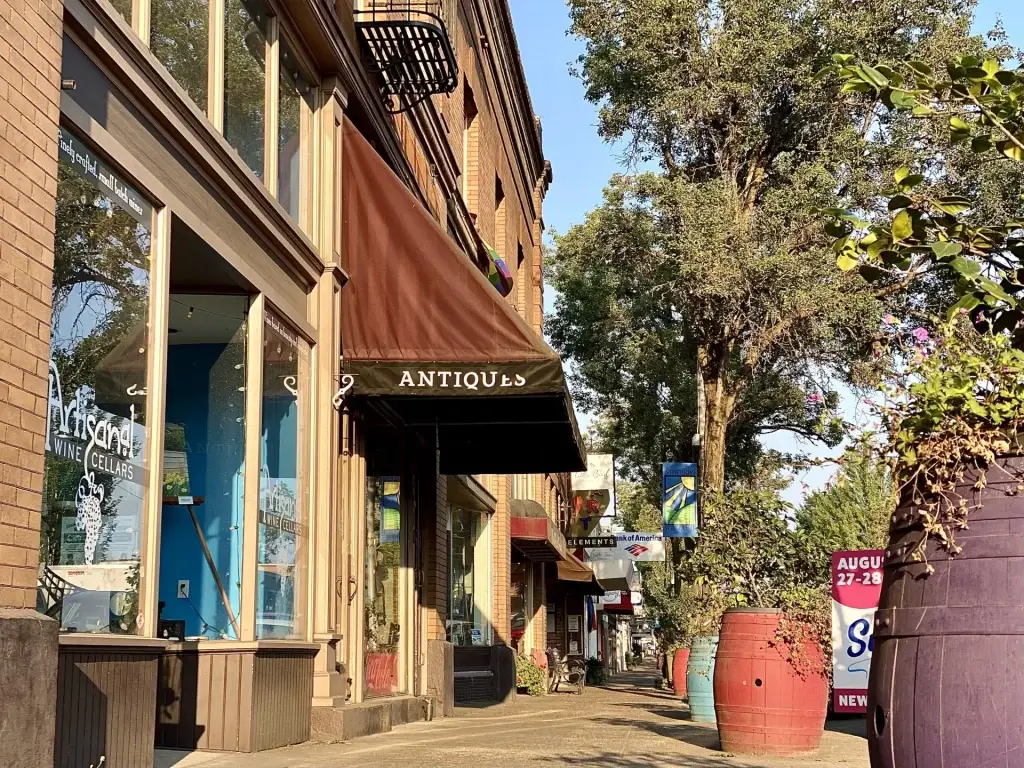 Quaint downtown street in Newberg OR with historic brick buildings, awnings for "Antiques" and "Wine Cellars." Enhance local commerce with expert Website Design Newberg OR.