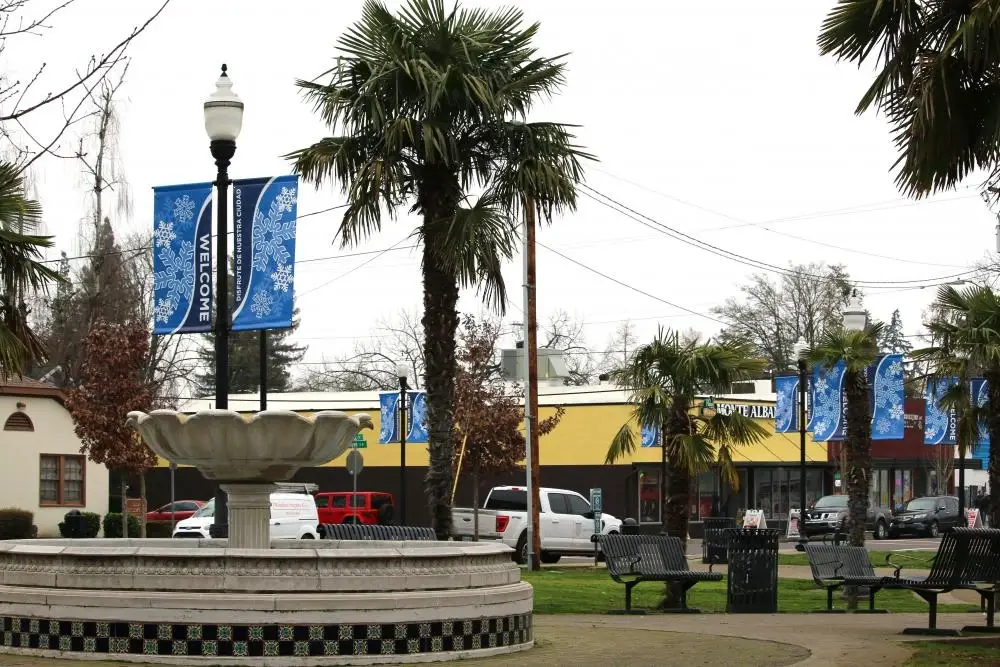 Downtown plaza with a large stone fountain, palm trees, and "Welcome" banners. Grow community engagement with professional Website Design Woodburn OR.